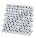 Queens 1" Penny Round Mosaic Tiles - Snow Wolves