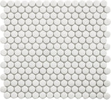Vetro D'Terra Dolomite Penny Round Glass Mosaic Tiles - Rocky Point Tile - Glass and Mosaic Tile Store